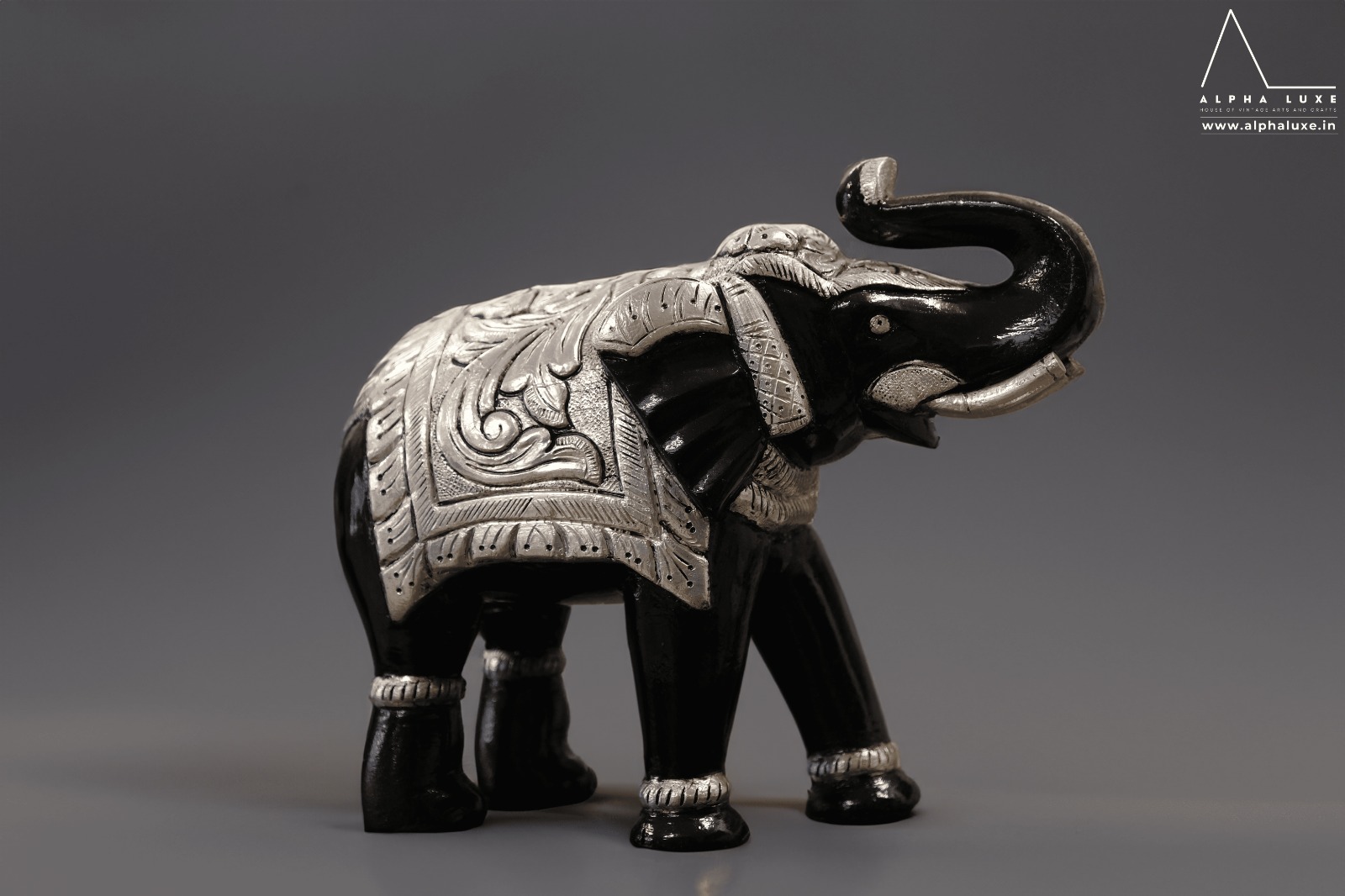 WhatsApp Image 2023-10-21 at 11.50.00 AM (25).jpeg